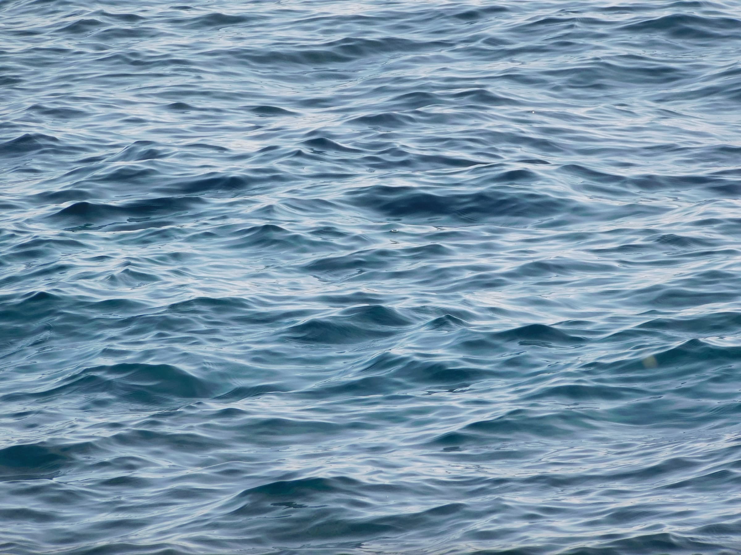 Ondas sobre el mar